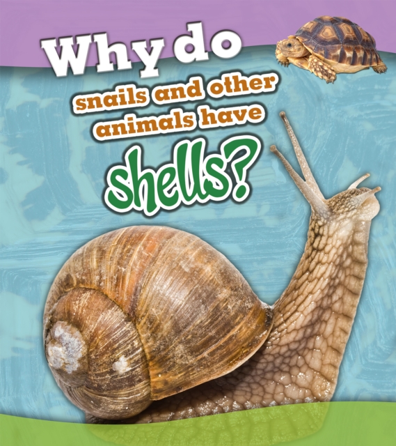 Why Do Snails and Other Animals Have Shells?, Paperback / softback Book