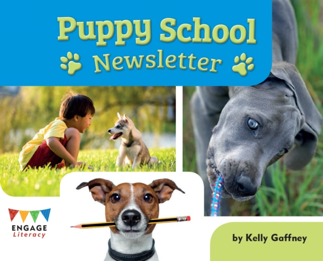 Puppy School Newsletter, Paperback / softback Book