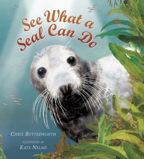 See What a Seal Can Do, Hardback Book