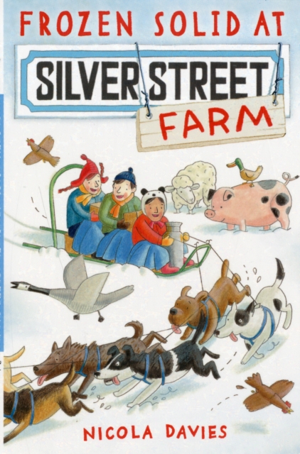 Frozen Solid at Silver Street Farm, Paperback / softback Book