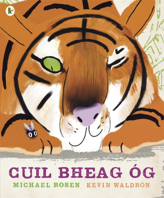 Cuil Bheag Og (Tiny Little Fly), Paperback / softback Book