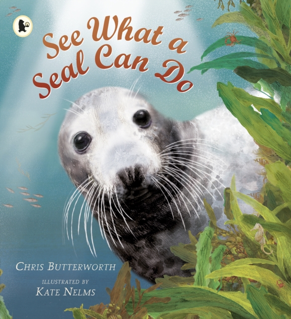 See What a Seal Can Do, Paperback / softback Book