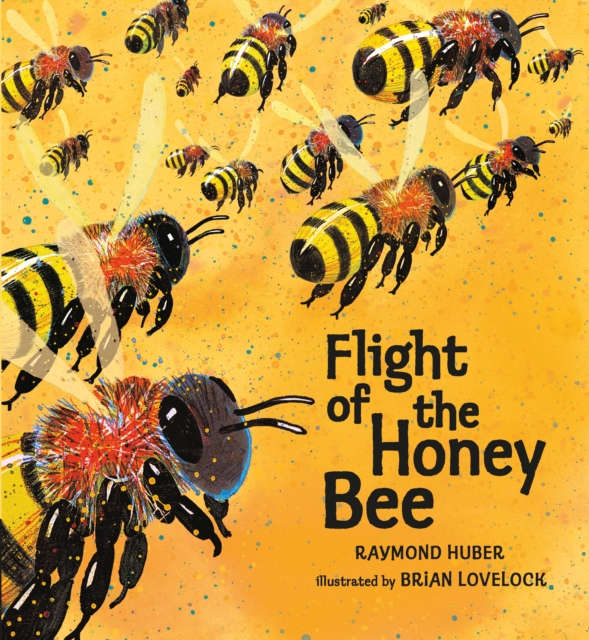 Flight of the Honey Bee, Paperback / softback Book