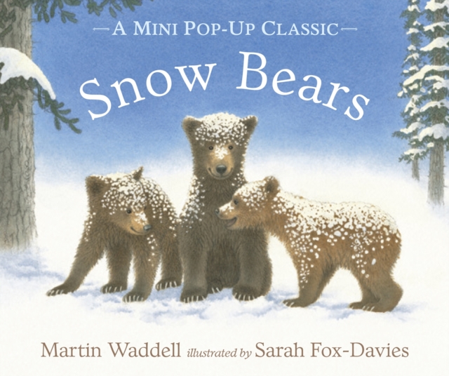Snow Bears, Hardback Book