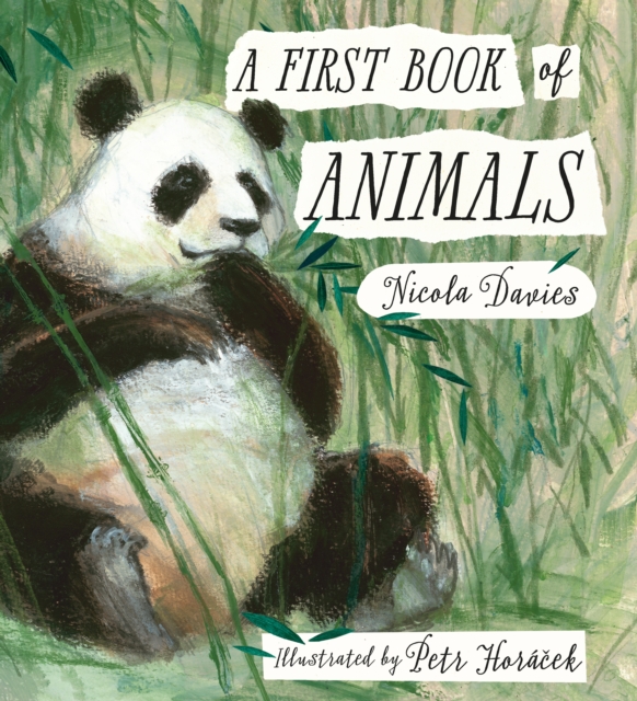 A First Book of Animals, Hardback Book