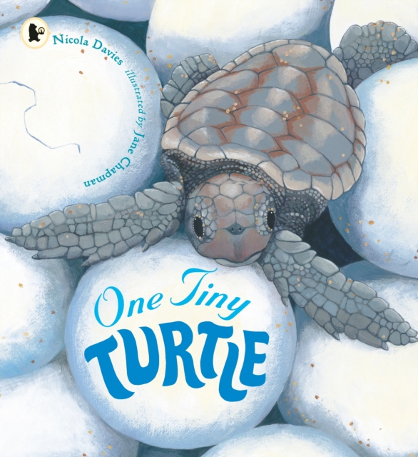 One Tiny Turtle, Paperback / softback Book