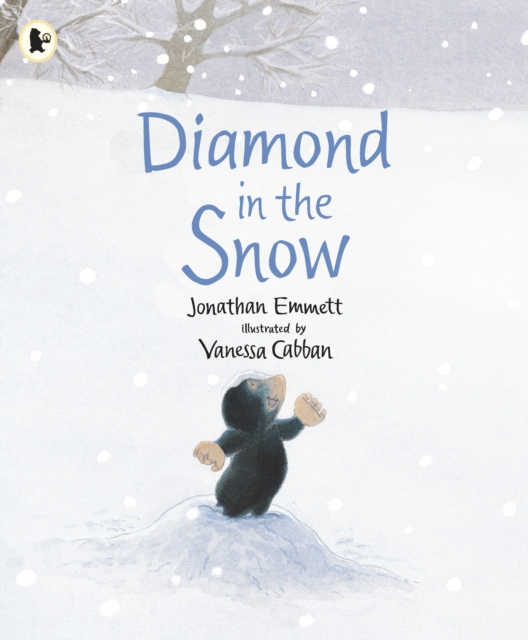 Diamond in the Snow, Paperback / softback Book