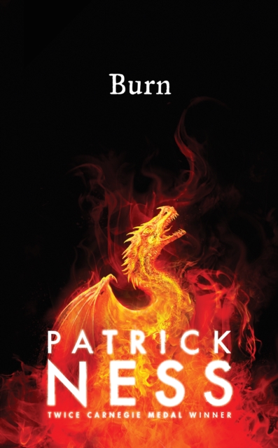 Burn, Hardback Book