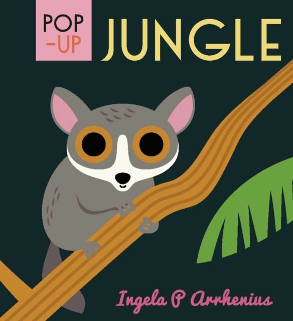 Pop-up Jungle, Hardback Book