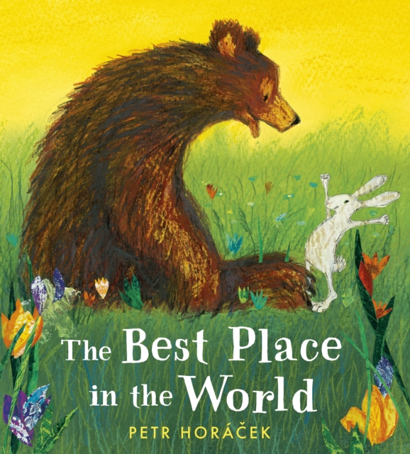 The Best Place in the World, Hardback Book