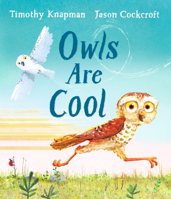 Owls Are Cool, Hardback Book