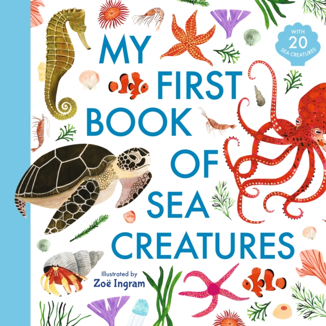 My First Book of Sea Creatures, Hardback Book