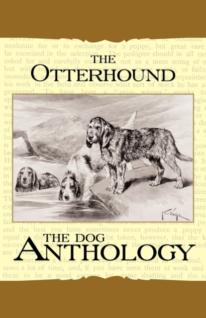 The Otterhound - A Dog Anthology (A Vintage Dog Books Breed Classic), Paperback / softback Book