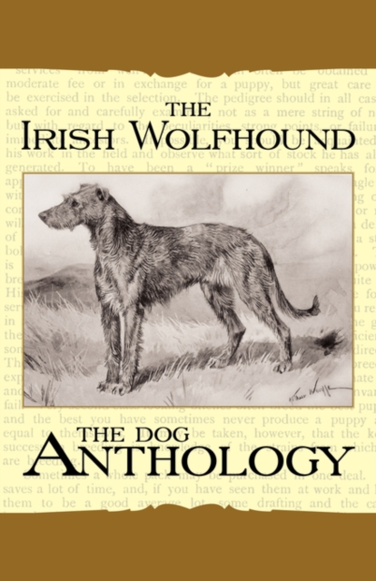 The Irish Wolfhound - A Dog Anthology (A Vintage Dog Books Breed Classic), Paperback / softback Book