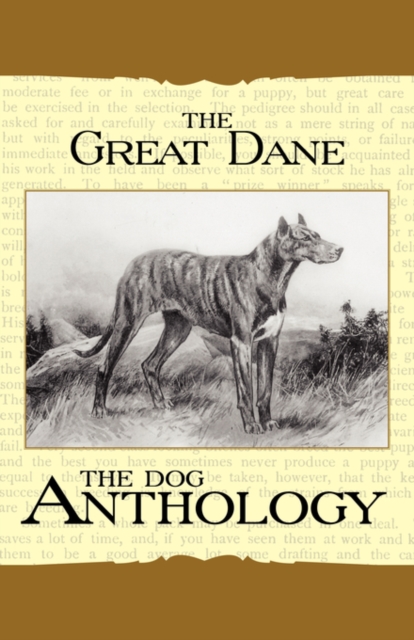 The Great Dane - A Dog Anthology (A Vintage Dog Books Breed Classic), Paperback / softback Book
