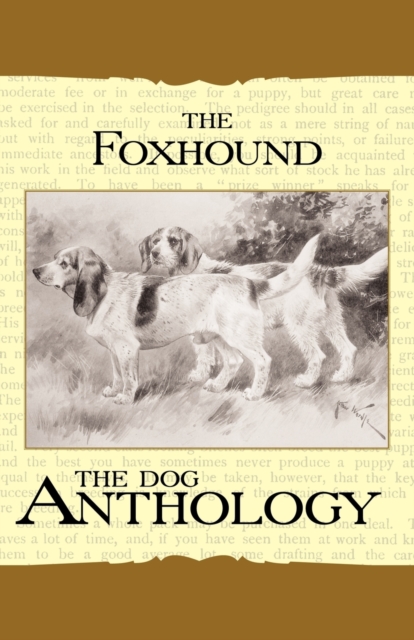 The Foxhound & Harrier - A Dog Anthology (A Vintage Dog Books Breed Classic), Paperback / softback Book