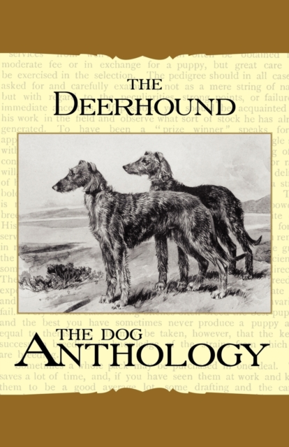 The Deerhound - A Dog Anthology (A Vintage Dog Books Breed Classic), Paperback / softback Book