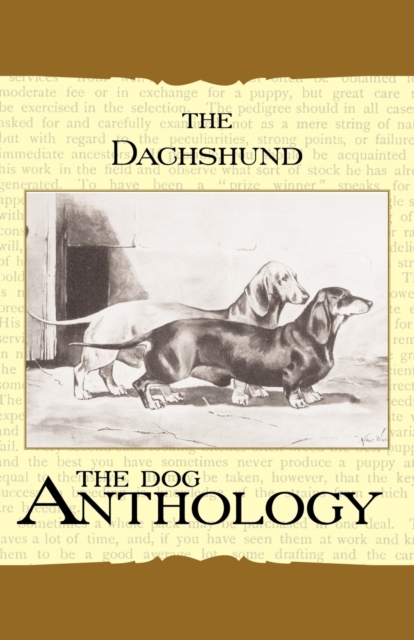 The Daschund - A Dog Anthology (A Vintage Dog Books Breed Classic), Paperback / softback Book