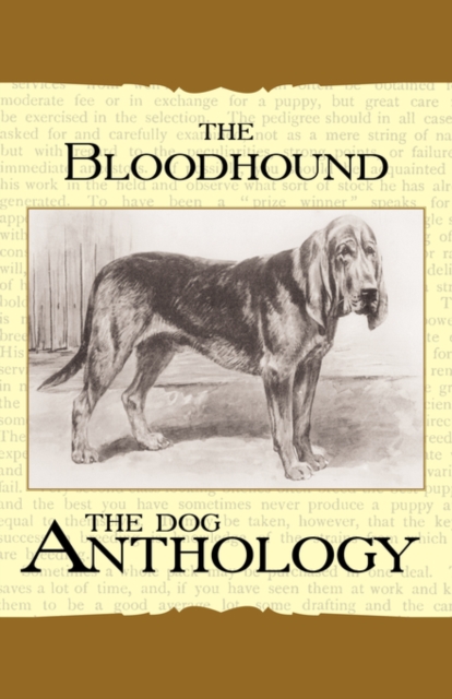 The Bloodhound - A Dog Anthology (A Vintage Dog Books Breed Classic), Paperback / softback Book