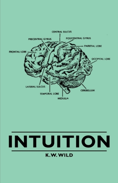 Intuition, Paperback / softback Book
