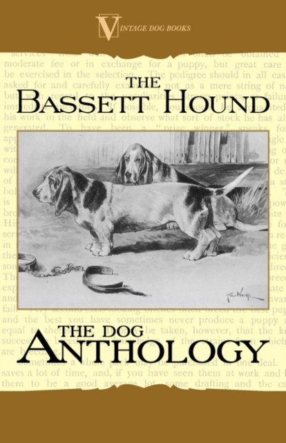 The Basset Hound - A Dog Anthology (A Vintage Dog Books Breed Classic), Paperback / softback Book