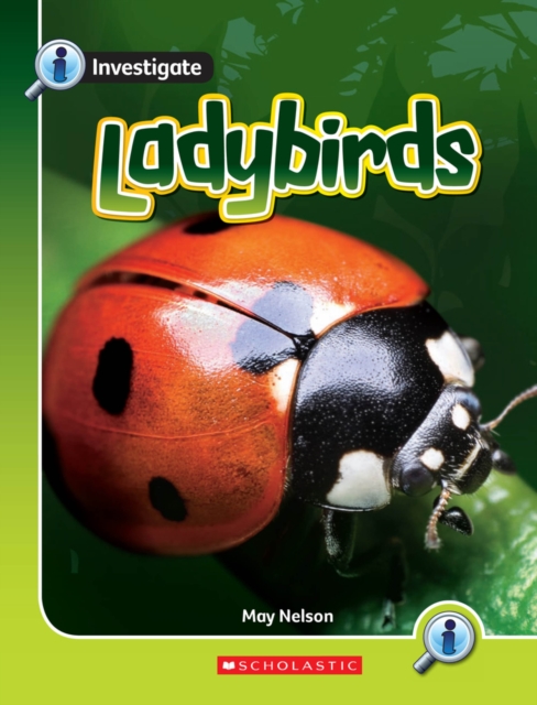 LADYBIRDS LIFE CYCLES,  Book