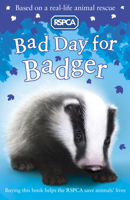 Bad Day for Badger, EPUB eBook