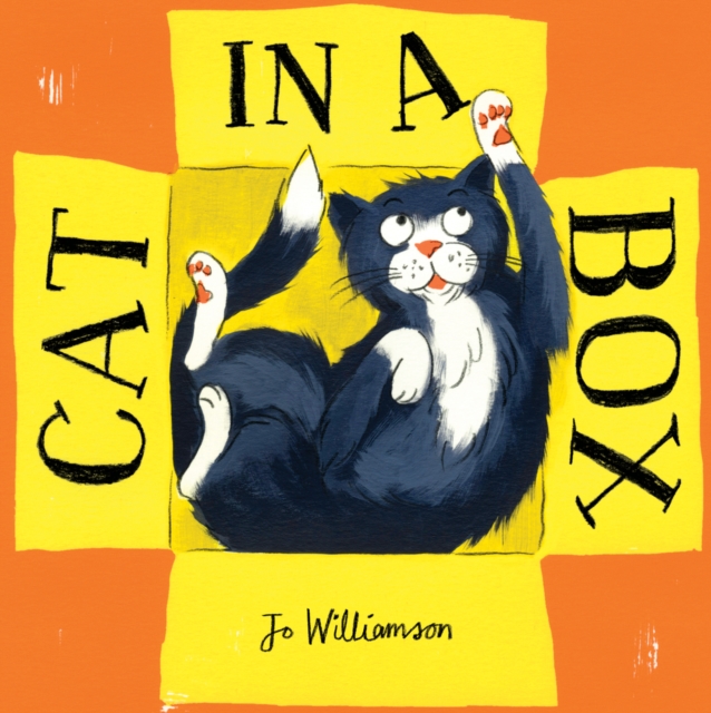 Cat in a Box, Paperback / softback Book