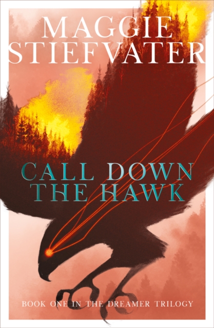 Call Down the Hawk: The Dreamer Trilogy #1, Paperback / softback Book