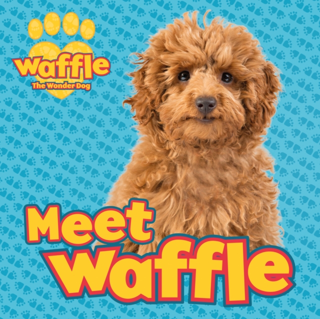 Meet Waffle!, Paperback / softback Book
