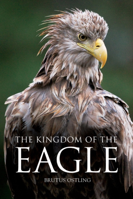 The Kingdom of the Eagle, Hardback Book