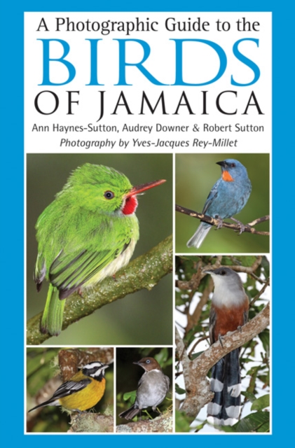A Photographic Guide to the Birds of Jamaica, Paperback / softback Book