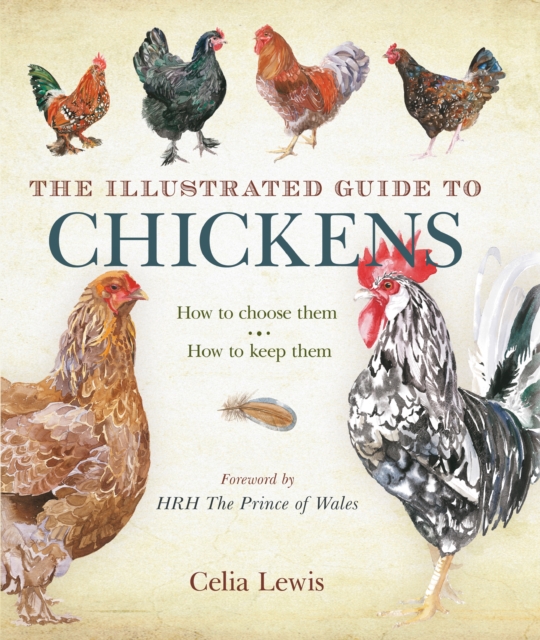 The Illustrated Guide to Chickens : How to Choose Them - How to Keep Them, Hardback Book