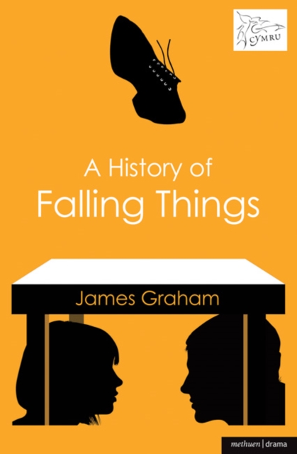 A History of Falling Things, Paperback / softback Book