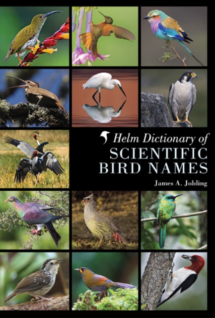 Helm Dictionary of Scientific Bird Names, Hardback Book