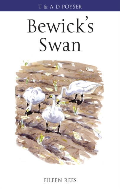 Bewick's Swan, EPUB eBook