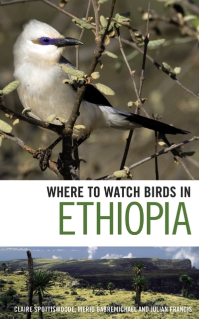 Where to Watch Birds in Ethiopia, Paperback / softback Book