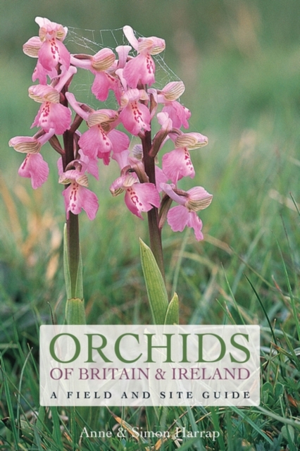 Orchids of Britain and Ireland : A Field and Site Guide, PDF eBook