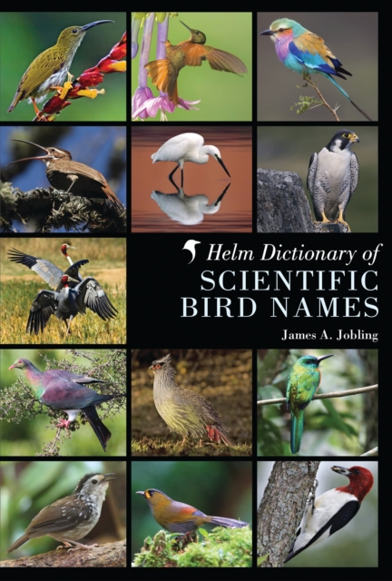 Helm Dictionary of Scientific Bird Names, PDF eBook