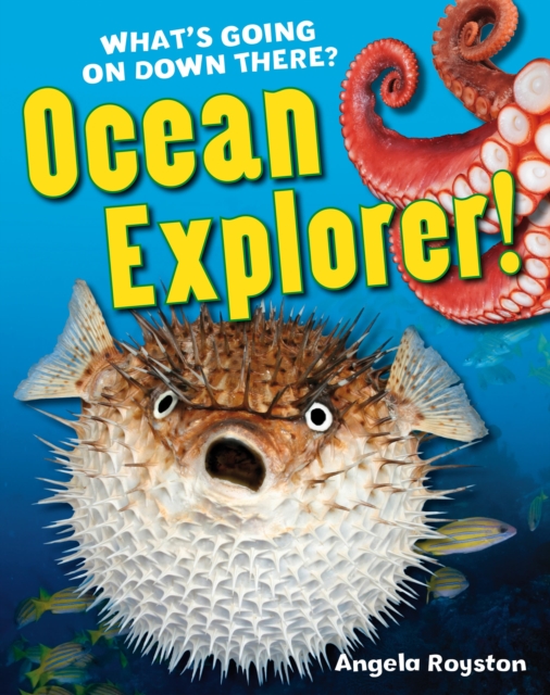 Ocean Explorer! : Age 5-6, below average readers, Paperback / softback Book