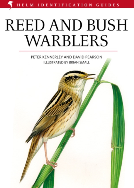 Reed and Bush Warblers, PDF eBook