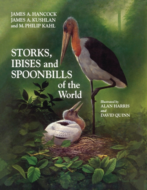 Storks, Ibises and Spoonbills of the World, PDF eBook