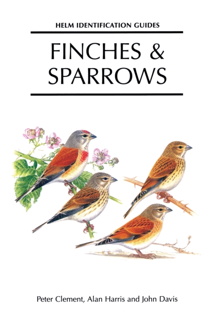 Finches and Sparrows, PDF eBook