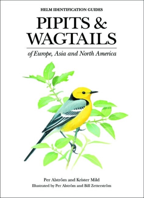Pipits and Wagtails of Europe, Asia and North America, EPUB eBook