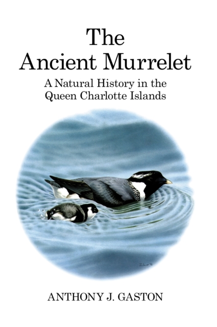 The Ancient Murrelet : A Natural History in the Queen Charlotte Islands, EPUB eBook