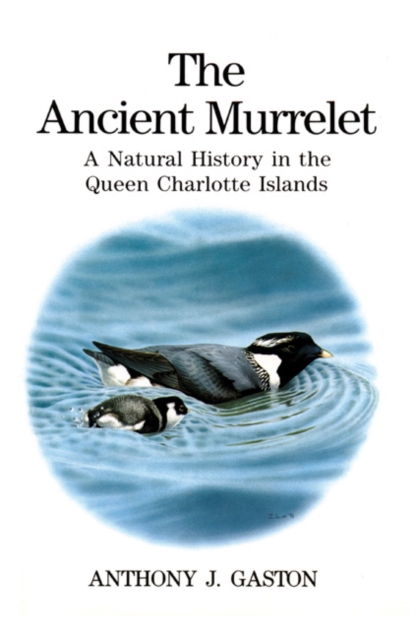 The Ancient Murrelet : A Natural History in the Queen Charlotte Islands, Hardback Book