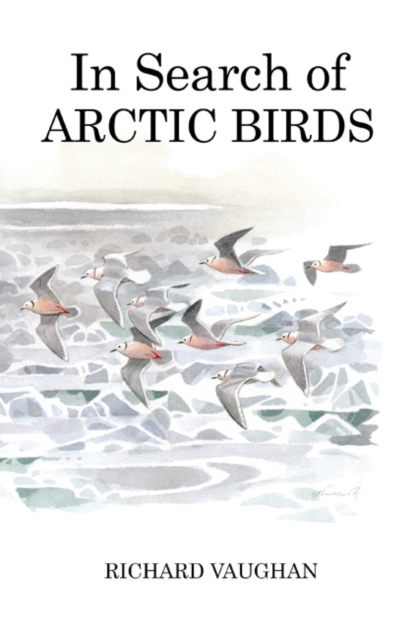 In Search of Arctic Birds, Hardback Book