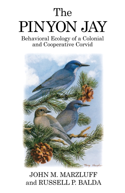The Pinyon Jay : Behavioral Ecology of a Colonial and Cooperative Corvid, EPUB eBook