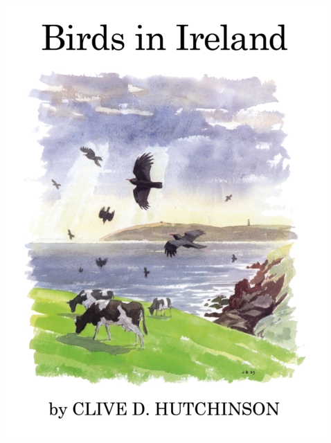 Birds in Ireland, PDF eBook