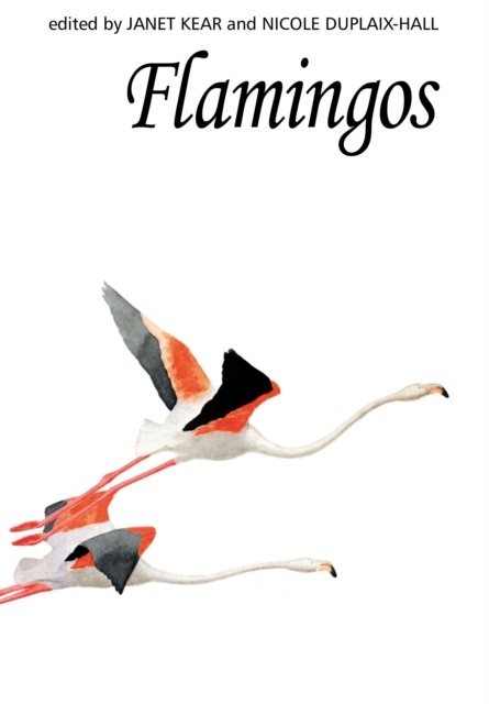 Flamingos, Hardback Book